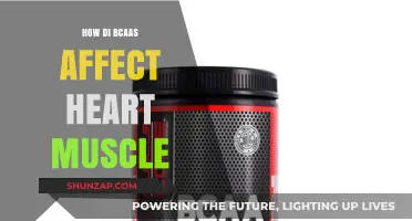The Impact of BCAAs on Heart Muscle: A Comprehensive Guide