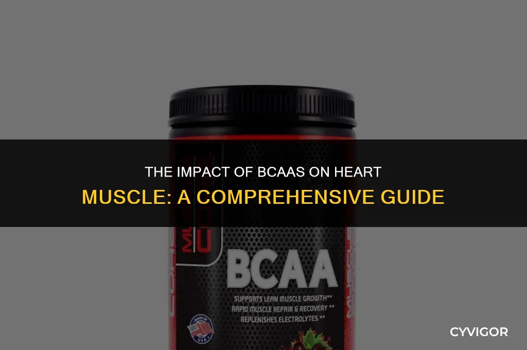 how di bcaas affect heart muscle