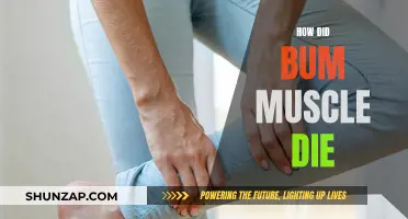 The Bum Muscle Mystery: Cause of Death?