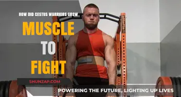 Cestus Warriors' Muscle-Building Secrets: Ancient Training for Combat Strength