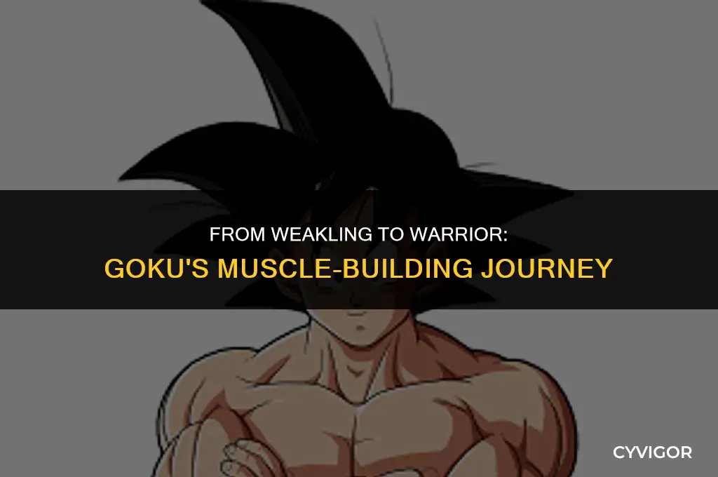 how did goku get big muscles