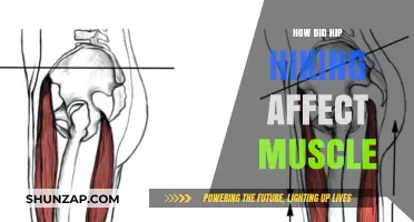 Exploring the Impact of Hip Hiking on Muscle Health and Performance