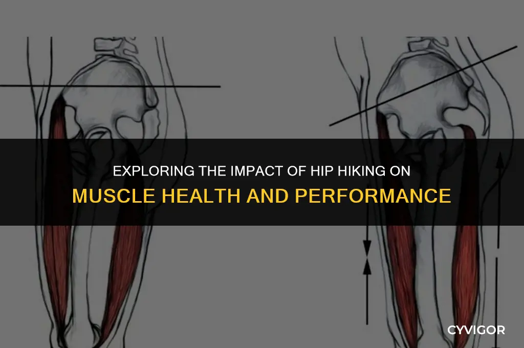 how did hip hiking affect muscle