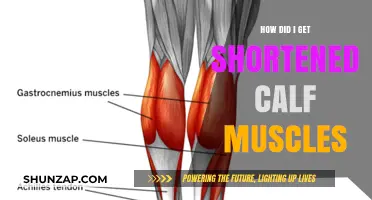 Unraveling the Mystery: Why My Calf Muscles Shortened