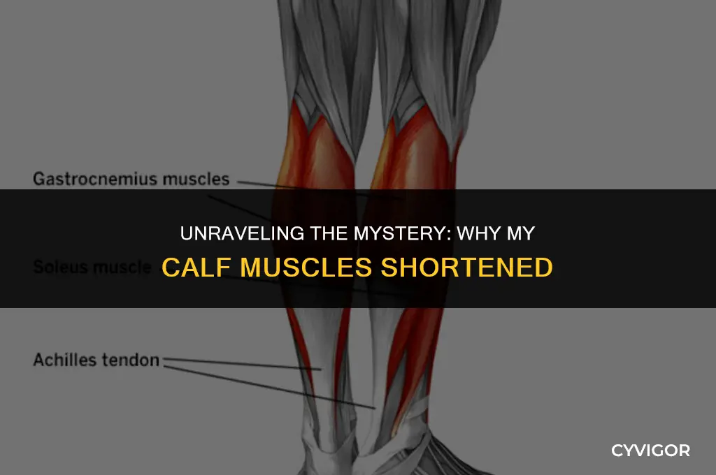 how did i get shortened calf muscles