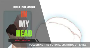 Understanding Head Muscle Strains: Causes, Symptoms, and Recovery Tips