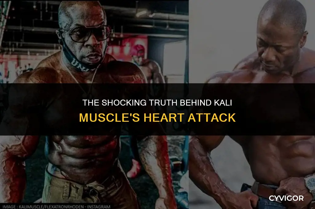 how did kali muscle get a heart attack