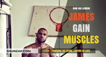 LeBron James' Muscle Transformation: Training, Diet, and Dedication Secrets