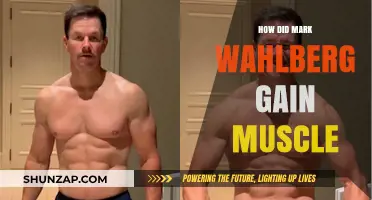 Mark Wahlberg's Muscle Transformation: Training, Diet, and Discipline Secrets
