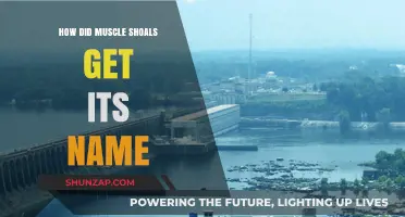 Unraveling the Mystery: The Origin of Muscle Shoals' Name