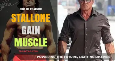 Sylvester Stallone's Muscle-Building Secrets: Training, Diet, and Dedication