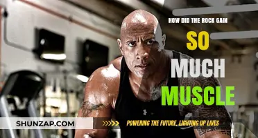 The Rock's Muscle Transformation: Secrets Behind His Massive Physique