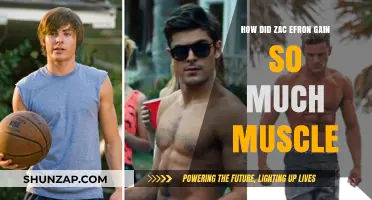 Zac Efron's Muscle Transformation: Secrets Behind His Impressive Physique