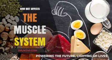 Fuel Your Muscles: Unveiling the Power of Nutrition in Fitness