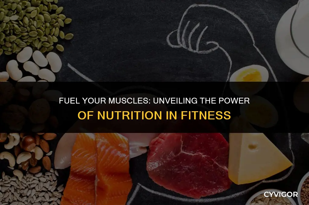 how diet affects the muscle system