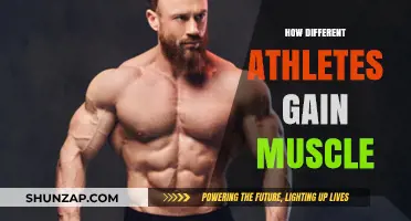 Muscle Building Secrets: How Athletes Across Sports Gain Strength
