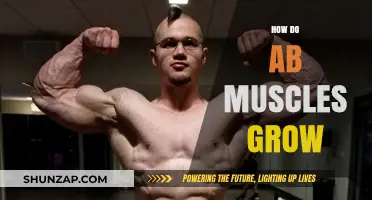 Unveiling the Science Behind Developing Strong, Defined Ab Muscles