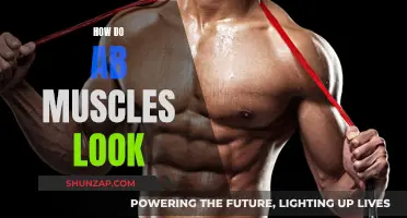 The Truth About Ab Muscles: What Do They Look Like?