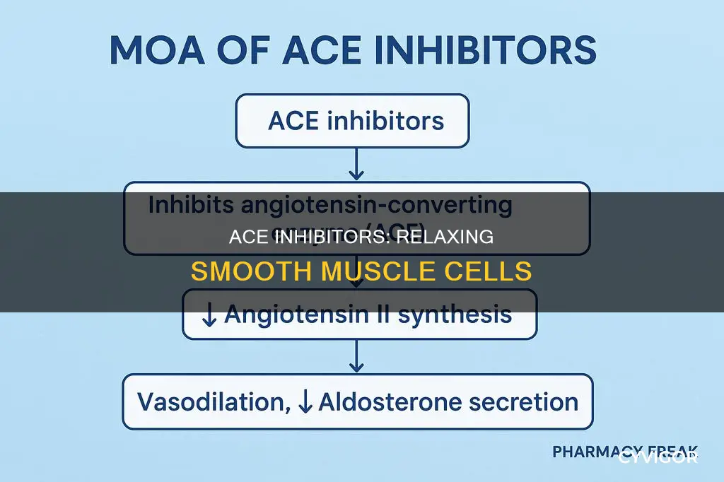 how do ace inhibitors cause smooth muscle cell relaxation