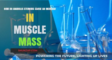 Anabolic Steroids: Muscle Mass and Side Effects