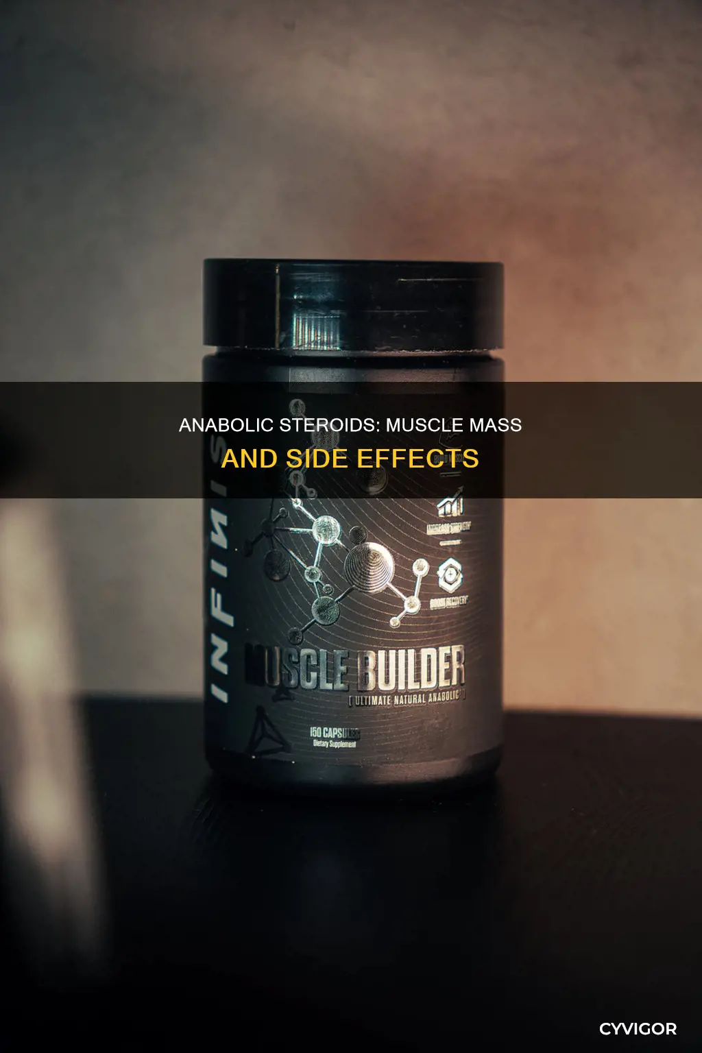how do anabolic steroids cause an increase in muscle mass