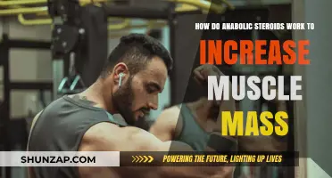 How Anabolic Steroids Boost Muscle Growth: Mechanisms Explained