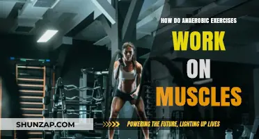 Anaerobic Exercises: Unlocking Muscle Power Without Oxygen