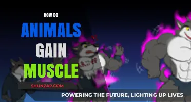 Unveiling the Secrets: How Animals Naturally Build and Maintain Muscle