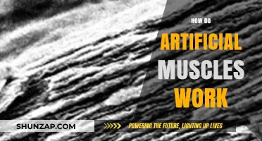 Unveiling Artificial Muscles: Mechanics, Materials, and Real-World Applications