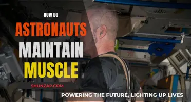 Astronauts' Muscle Maintenance: Strategies for Space Exploration