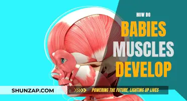 Babies' Muscle Development: Unlocking the Growth Process