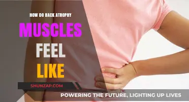 Understanding Back Atrophy: A Guide to Muscle Weakness and Pain