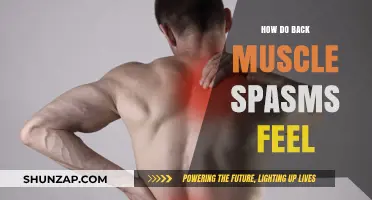 Understanding the Sensation: What Back Muscle Spasms Feel Like