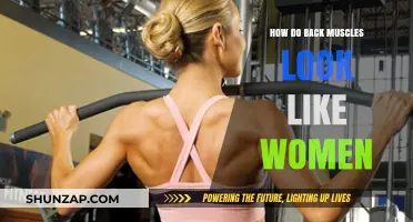 Understanding the Anatomy of Women's Back Muscles: A Visual Guide