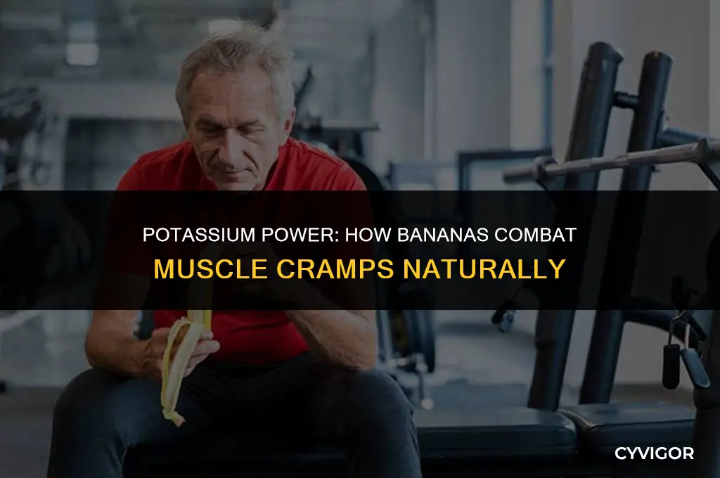 how do bananas stop muscle cramps