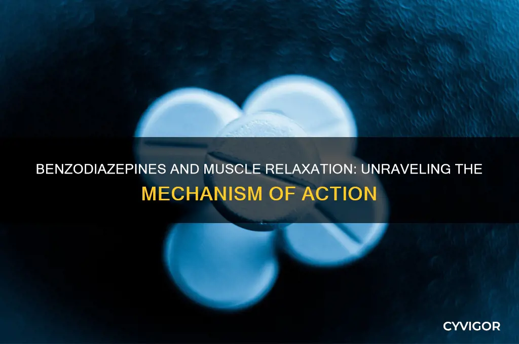 how do benzodiazepines relax muscles