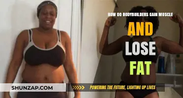 Bodybuilding Secrets: Muscle Gain and Fat Loss Strategies Revealed