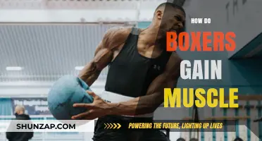 Boxers' Muscle-Building Secrets: Training, Nutrition, and Recovery Strategies