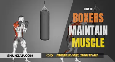 Boxers' Muscle Maintenance: Secrets to Staying Strong