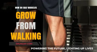 Walking Your Way to Stronger Calves: The Science Behind It