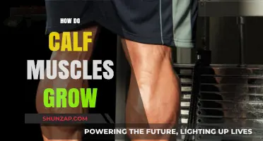 Unlocking Calf Muscle Growth: A Comprehensive Guide