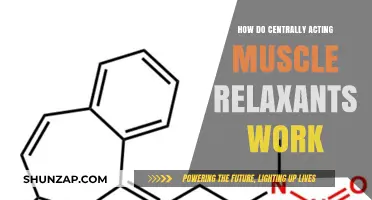 Understanding Centrally Acting Muscle Relaxants: Mechanism and Effects Explained