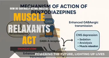 Centrally Acting Skeletal Muscle Relaxants: Mechanism of Action Explained