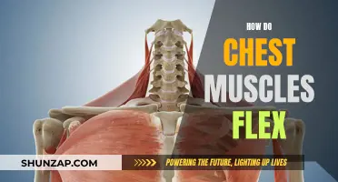 Building Chest Muscles: Flexing Techniques for Growth