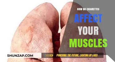 The Impact of Cigarettes on Muscle Health: A Comprehensive Guide