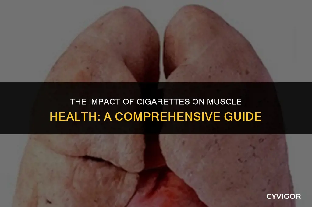 how do cigarettes affect your muscles