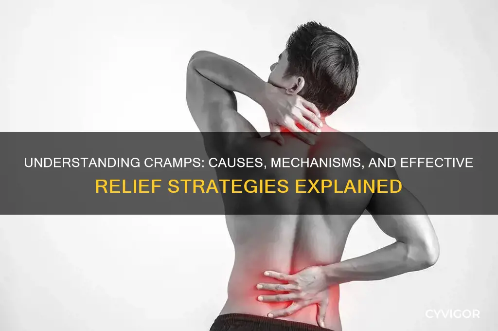 how do cramps work