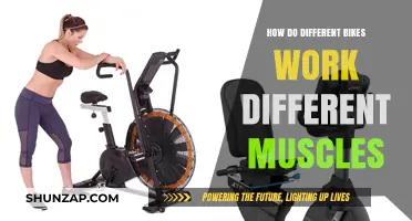 Pedal Power: Exploring Muscle Engagement Across Various Bike Types