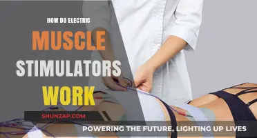Understanding Electric Muscle Stimulators: Mechanism, Benefits, and Applications