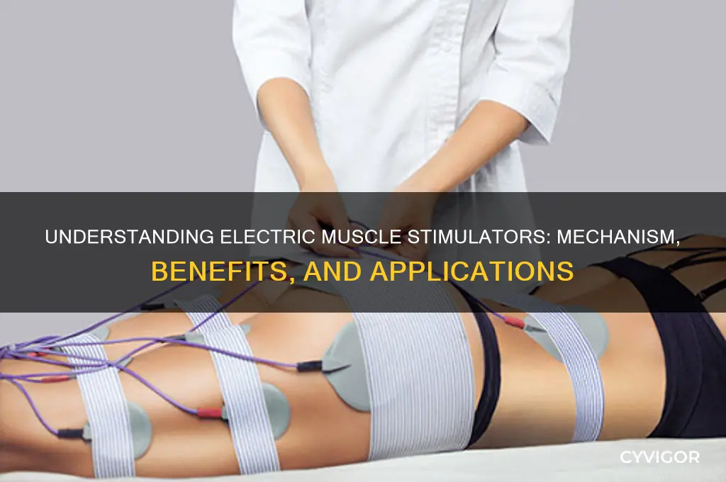 how do electric muscle stimulators work